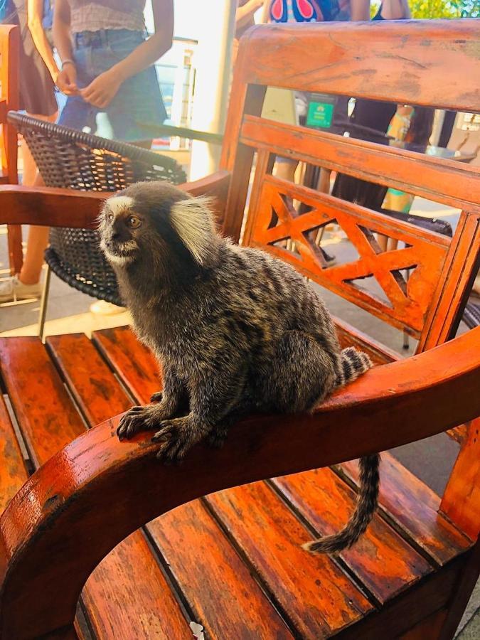 Lapa Casa Hostel リオデジャネイロ エクステリア 写真